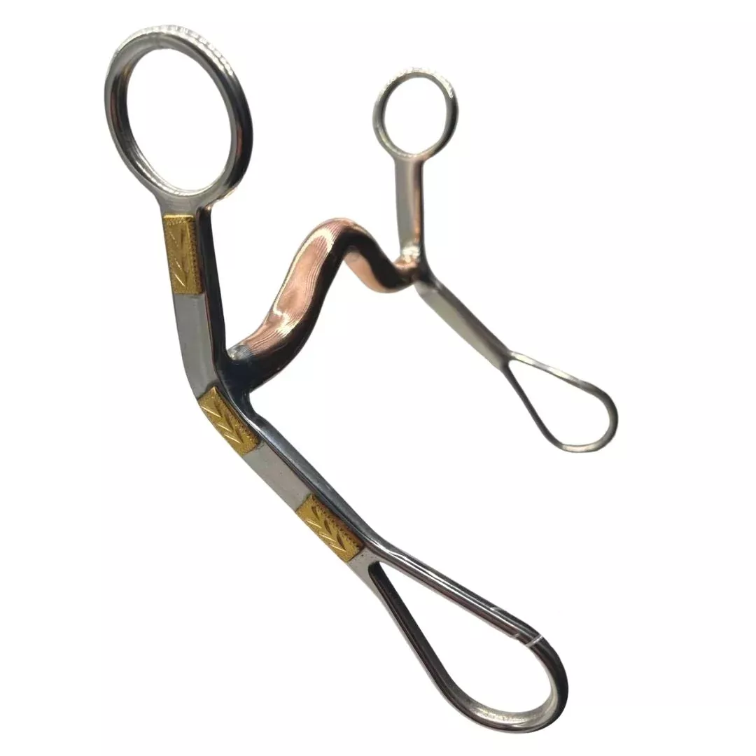Brass Trim Curb Bit