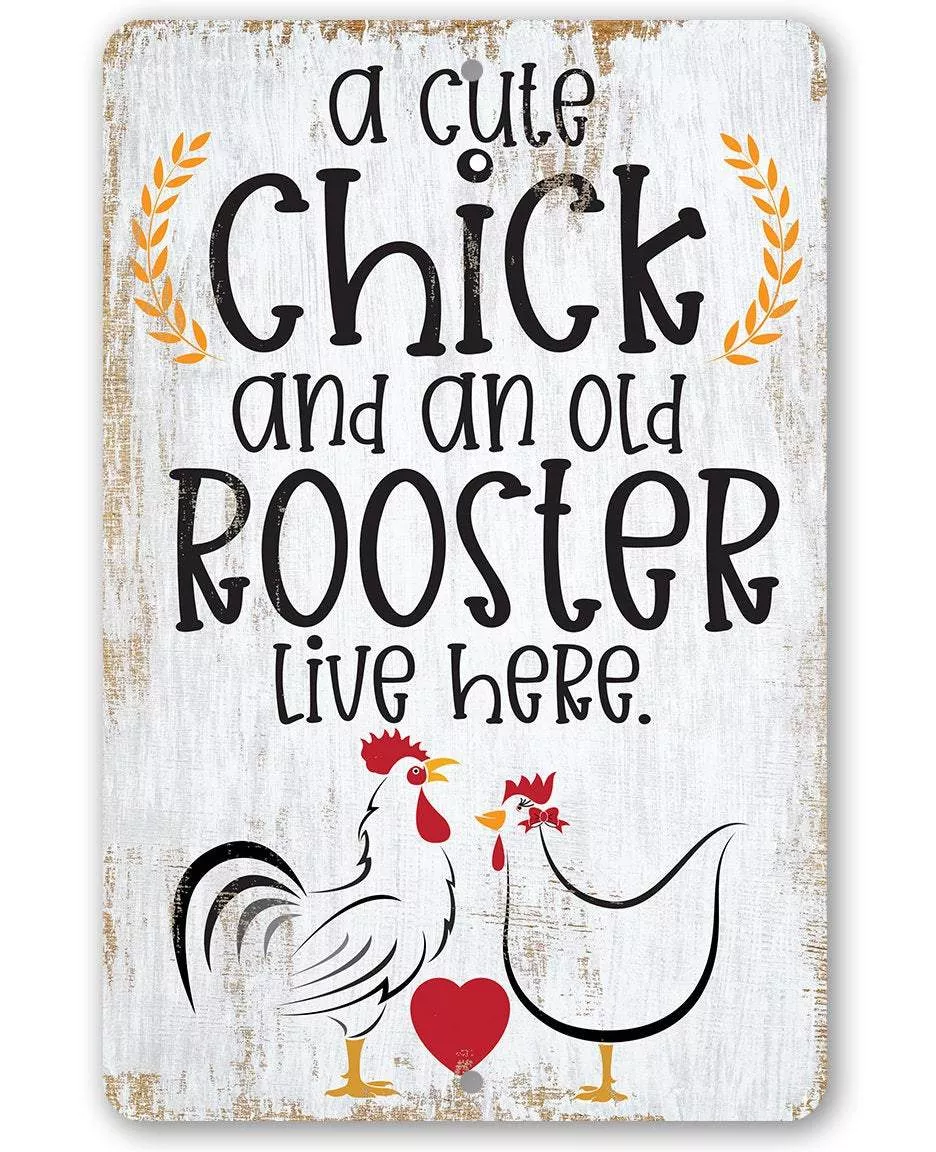 A Cute Chick and an Old Rooster Live Here - Metal Sign
