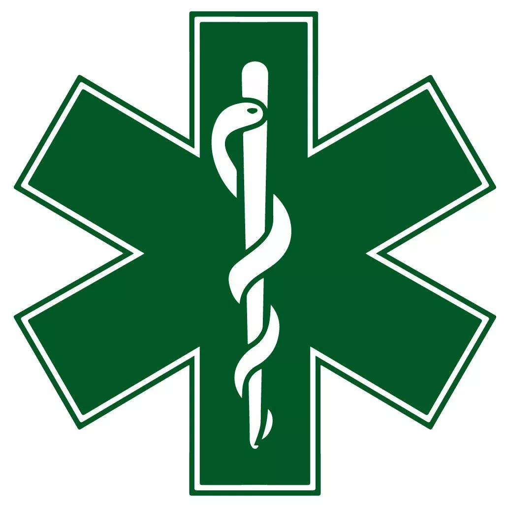 DARK GREEN STAR OF LIFE REFLECTIVE HELMET DECAL