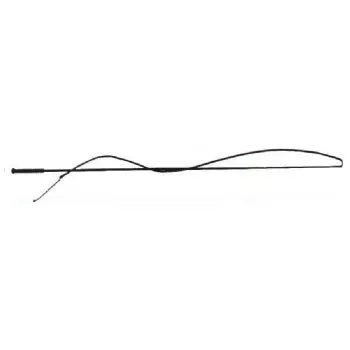Lunge Whip