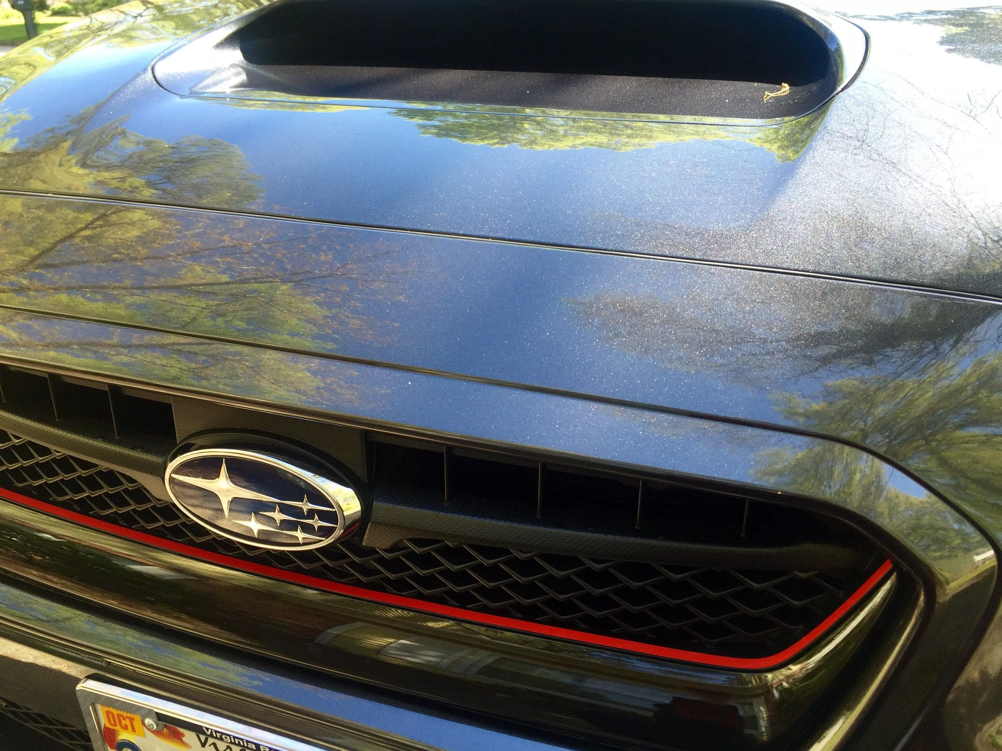 Original Grille Pinstripe - 2015-2017 WRX / STI